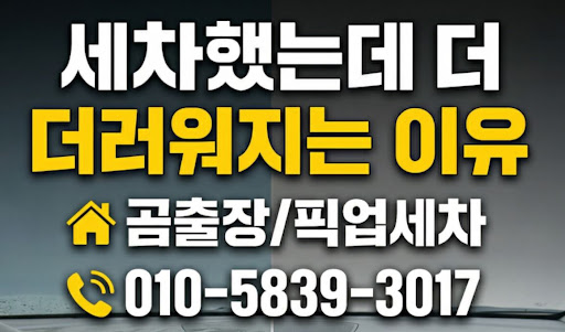 야간 및 새벽 시간대 안양출장세차 이용 시 주의사항과 효율적인 차량 관리법
