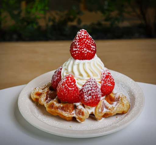카페달곰을 전주한옥마을맛집 간식 코스로 넣는 이유 정리